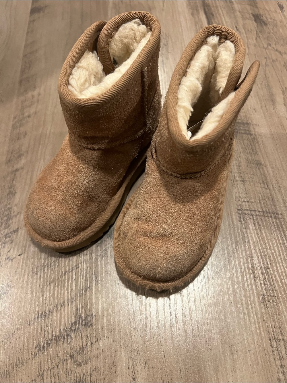 UGG Kids Chestnut Suede Plush-Lined Boots